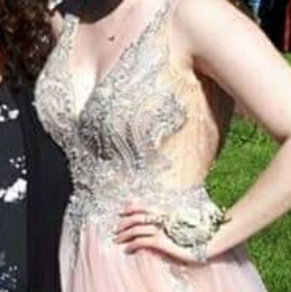 Pink Princess Formal Gown - Picture 7 of 8